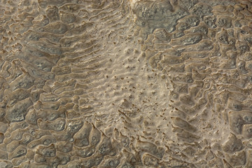 The surface of the limestone in the form of intricate patterns. The texture is made by flowing water for many years in Turkish Pamukalle. An interesting natural phenomenon.