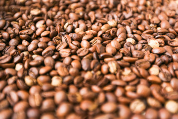 fresh roasted coffee beans