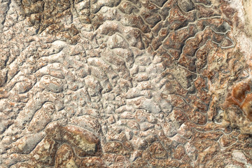 The surface of the limestone in the form of intricate patterns. The texture is made by flowing water for many years in Turkish Pamukalle. An interesting natural phenomenon.