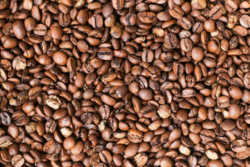 fresh roasted coffee beans