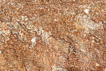The surface of the limestone in the form of intricate patterns. The texture is made by flowing water for many years in Turkish Pamukalle. An interesting natural phenomenon.