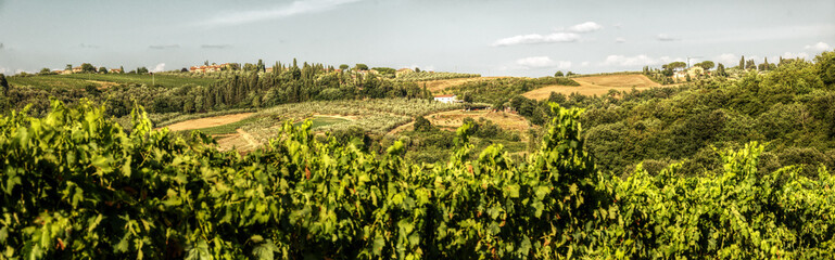 Fototapeta na wymiar Rural landscape of Montespertoli, Tuscan region of Florence