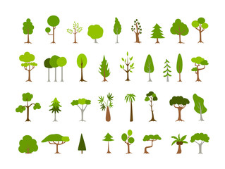 Obraz premium Zielone drzewo o innym kształcie.
