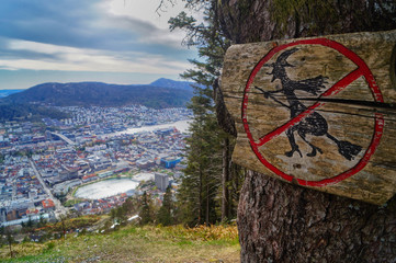 No Witches!