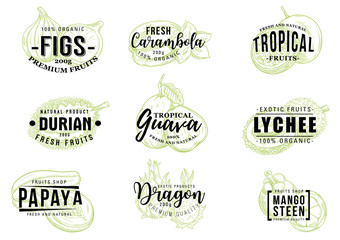 Fototapeta premium Tropical fruits sketch lettering, vector