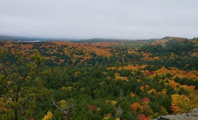 Beautiful foggy sceneries of Algonquin Park in autumn 