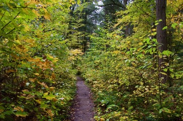 Hiking the beautiful trails of Algonquin Park in fall