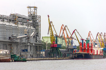 Elevating complex for transshipment of grain and oilseeds as part of a reloading terminal. Transportation of agricultural