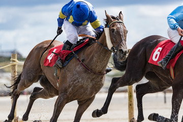 Close-up of jockey using whip on race horse during race