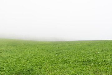 Fototapeta na wymiar 霧の中の草原 / 北海道の観光イメージ
