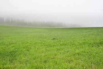 霧の中の草原 / 北海道の観光イメージ