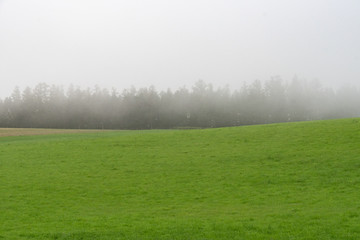 霧の中の草原 / 北海道の観光イメージ