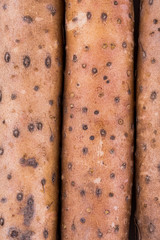 Closeup of yam, texture
