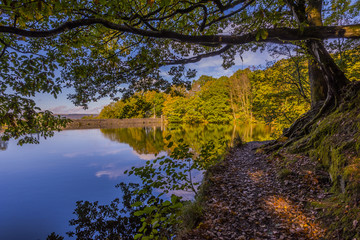 AutuAutumn Woodland Colours