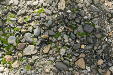 texture stones in the moss in the foreground on the street in the afternoon