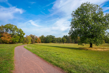 Obraz premium Herbst im Park