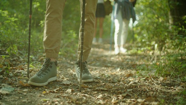 Close up trekking boots and nordic walking. Group of backpackers on hiking throught the forest.
