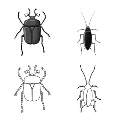 Isolated object of insect and fly icon. Collection of insect and element stock vector illustration.