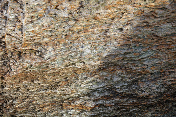 Felsen mit Salzablagerungen an einem Strand auf Korsika