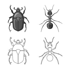 Isolated object of insect and fly icon. Set of insect and element stock vector illustration.