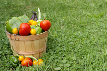 Basket of fresh vegetables on green grass background with copy space