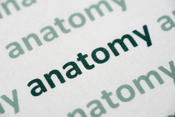 word anatomy  printed on paper macro