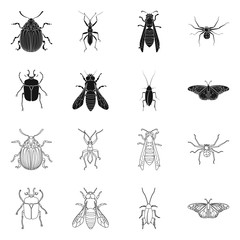 Isolated object of insect and fly logo. Set of insect and element vector icon for stock.