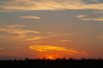Sunrise