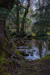 Obraz premium Cradle Mountain