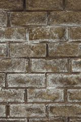 Brick snowcapped wall
