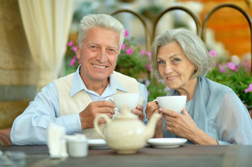 Portrait of a senior couple drinking tea