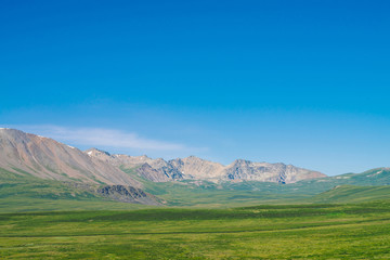 Giant mountains with snow above green valley under clear blue sky. Meadow with rich vegetation of highlands in sunlight. Amazing sunny mountain landscape of majestic nature.
