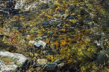 Varicolored detailed texture of stony bottom of transparent brook close up. Clean water in mountain creek. Colorful background of smooth stones in river stream with copy space.