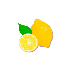 Fresh Citrus . orange, lemon, lime, bergamot, tangerine and grapefruit with leaves and slices