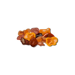 frankincense, amber, myrrh, pieces of gum, resin, tar, semiprecious stones. Vector