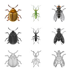 Isolated object of insect and fly icon. Set of insect and element stock symbol for web.