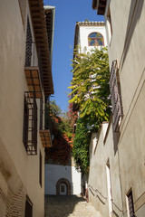 Alleyway with Carmen in Historic Center of Granada, Spain