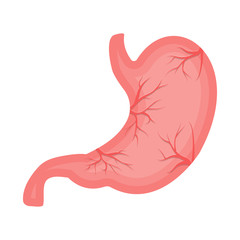 Isolated object of body and human icon. Set of body and medical stock symbol for web.