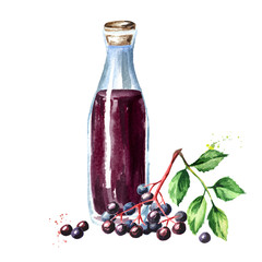 A bottle of elderberry syrup. Watercolor hand drawn illustration, isolated on white background