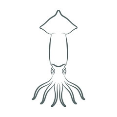 Sign squid. Symbol squid Isolated on white background. Logo squid. Vector illustration