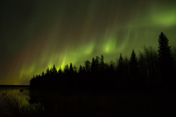 Fototapeta na wymiar Northern Lights in Kuusamo, Finland