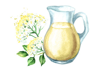 Jug with Homemade elderflower syrup, summer drink. Watercolor hand drawn illustration, isolated on white background