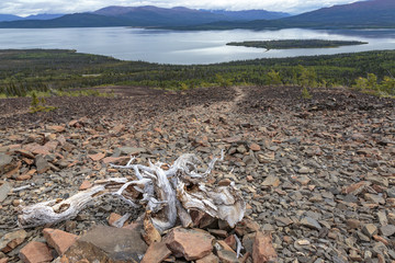 Rock glacier trailhead near Dezadeash lake, near Haines Junction, Yukon Canada.