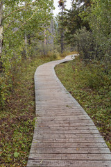 Obraz premium Wooden path on Rock glacier trailhead near Dezadeash lake, near Haines Junction, Yukon Canada.