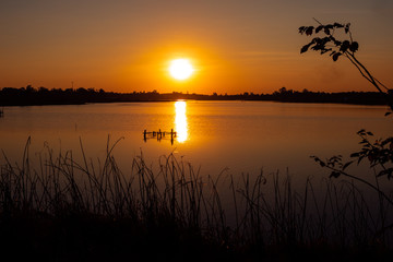 A quiet freshwater lake is reflection of the sun on water surface. Silhouetted the trees along the coast. During the sunset.