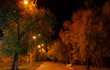 Without people, nightly alley in the park, in the light of street lamps.
