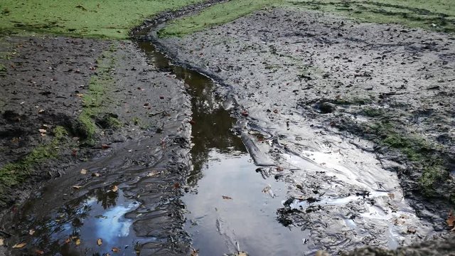 Contaminated empty pond with oil and mud. Zoom in.