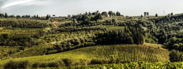 Tuscan hillside at Montespertoli, Florence