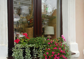 Fototapeta na wymiar Shop window with dolls, watches, souvenirs and lamps inside and a box with red and pink flowers outside