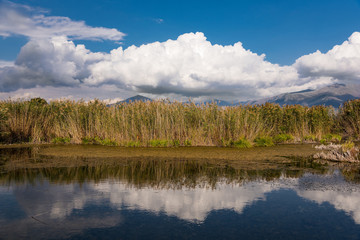 View of the shore of the Mikri (Small) Prespa Lake in northern Greece